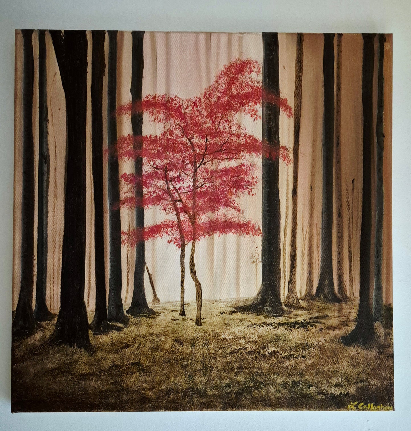 Solitude